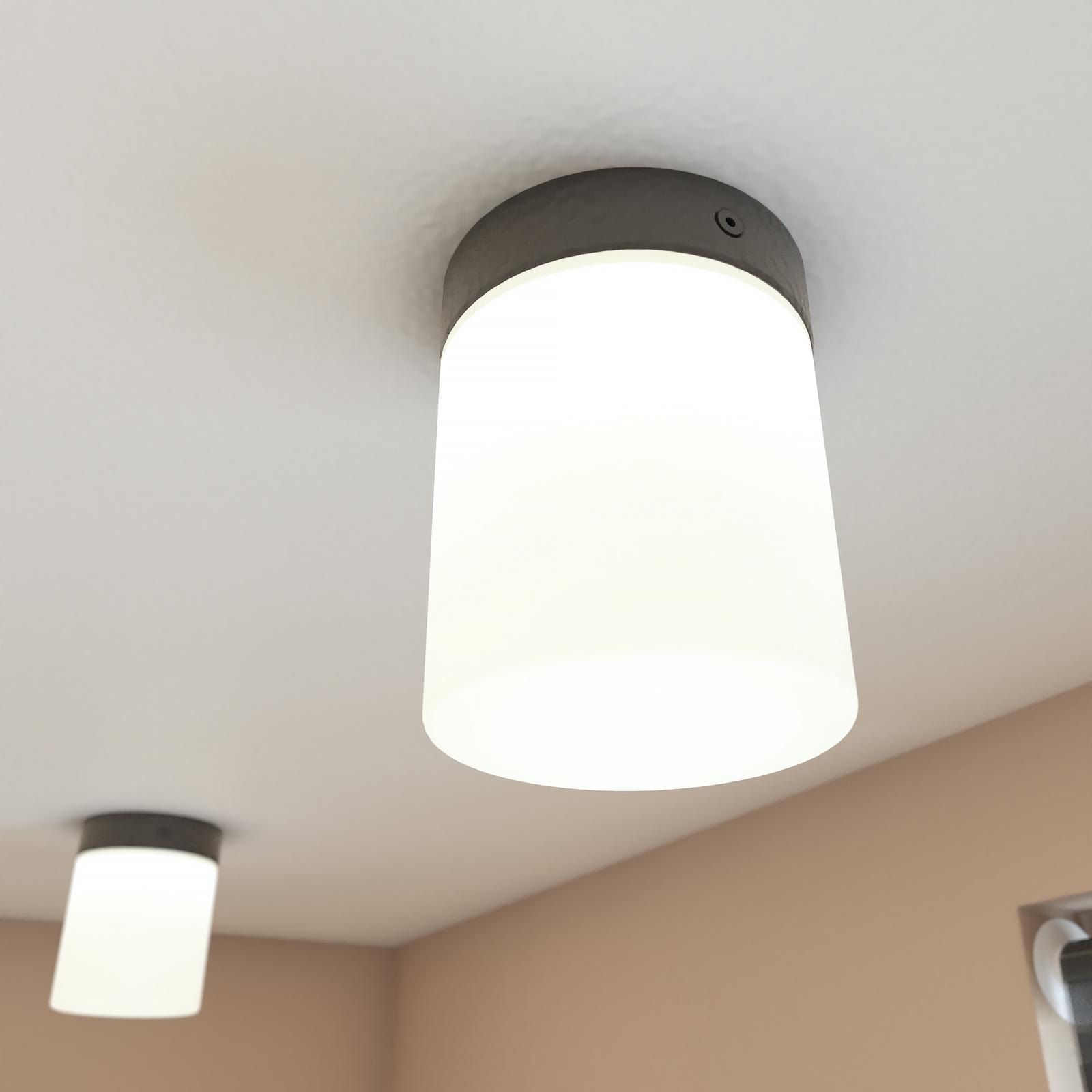 Plafoniera baie Cayo 8055, 1 x G9, negru, modern