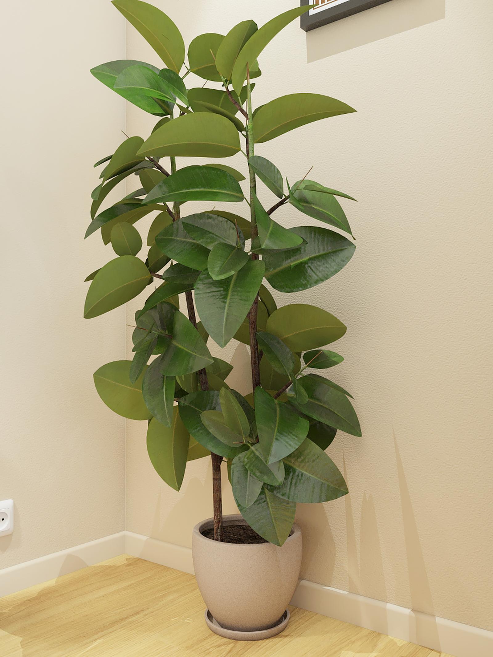 Plinta parchet MDF SET, alb, 2440 x 90 x 19 mm