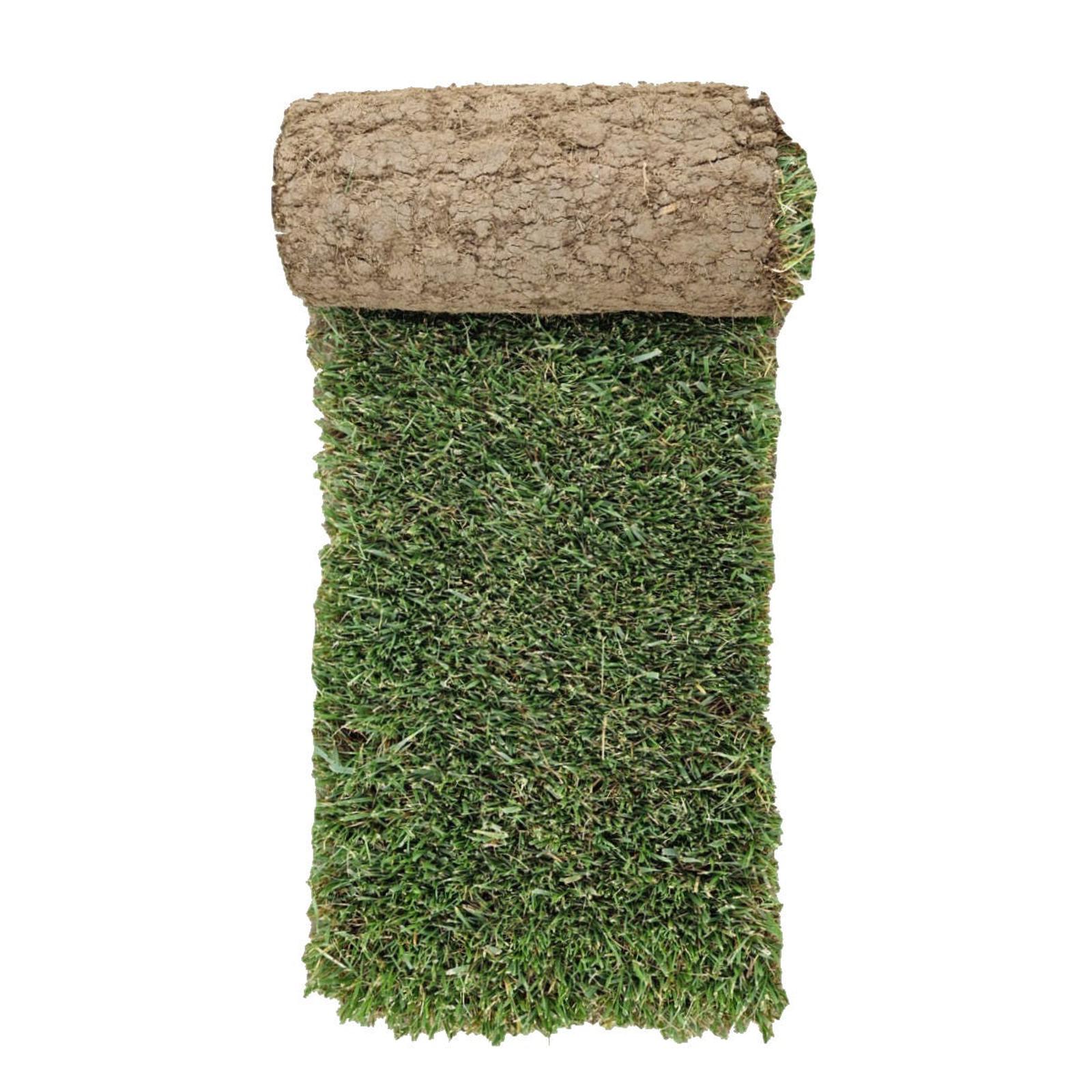 Gazon rulou, natural, Seceta, 40 mp
