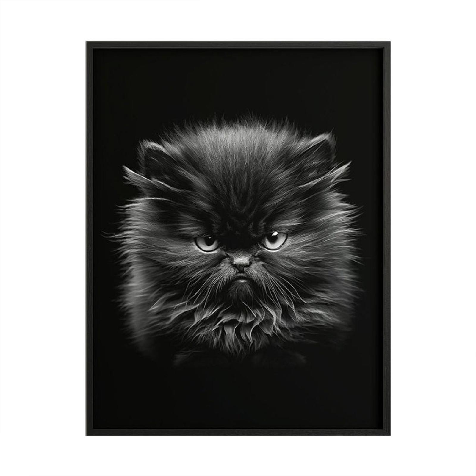 Tablou canvas cu rama Angry Kitten, standard, panza + sasiu din lemn, 70 x 50 cm